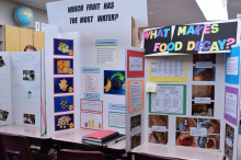 Spanish Oaks Fifth-Grade Science Fair